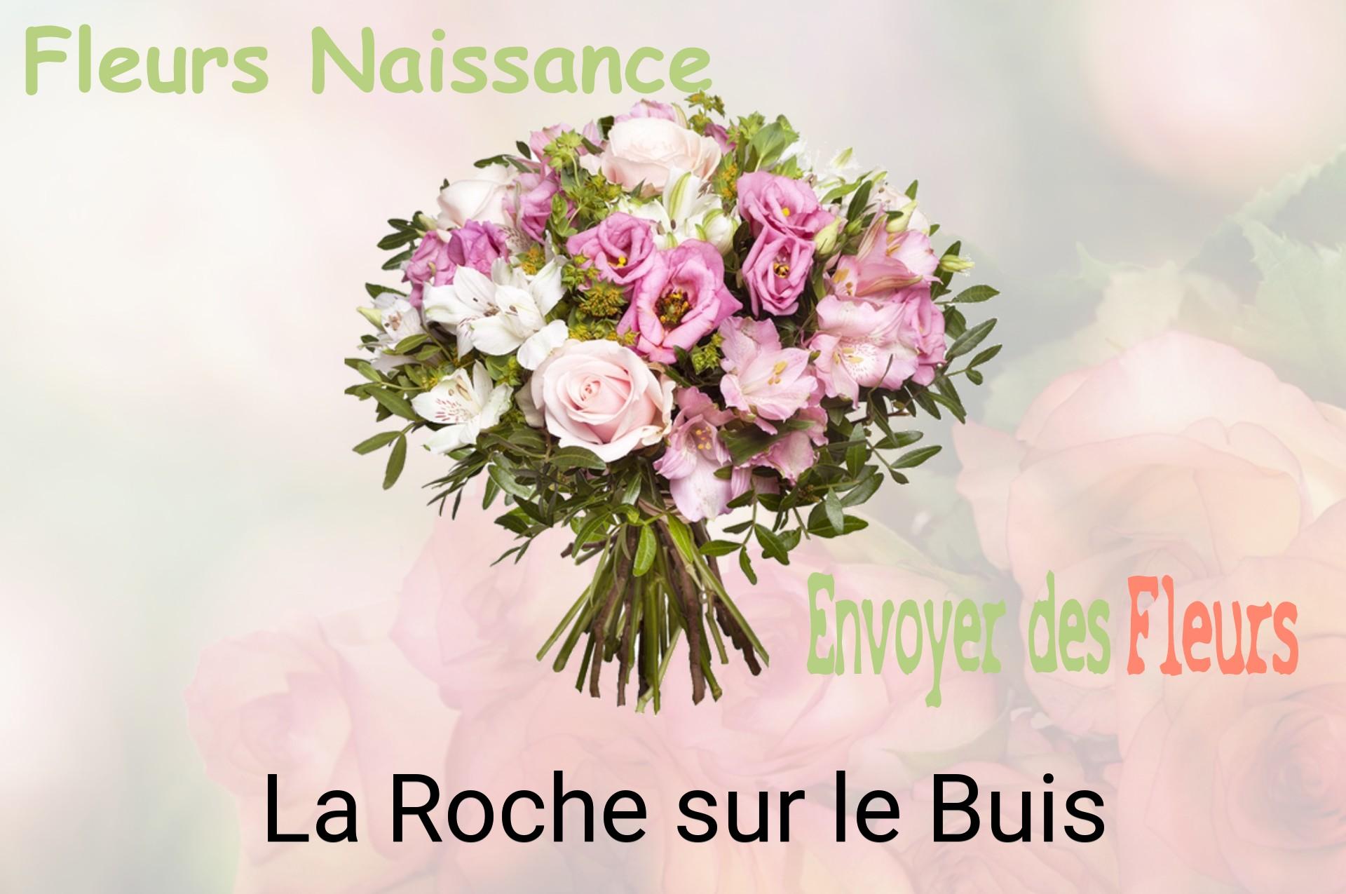 Bouquet de fleurs de naissance livré à La Roche-sur-le-Buis